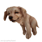 JIAN Lively Labs :: Held Pup White [Gacha]