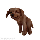 JIAN Lively Labs :: Held Pup Golden [Gacha]