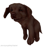 JIAN Lively Labs :: Held Pup Chocolate [Gacha]