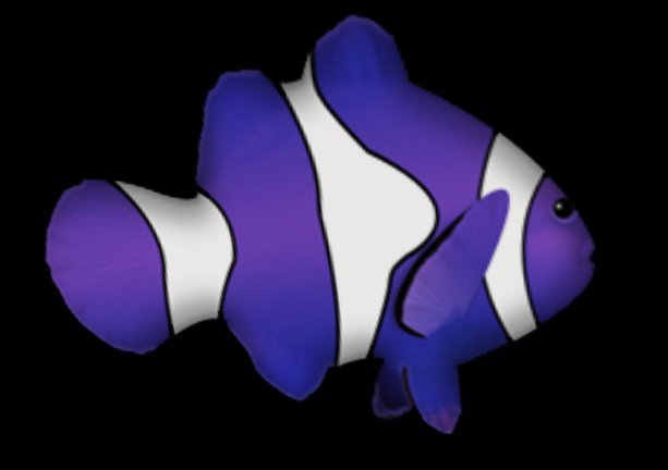 Clowfish by Rita Munro