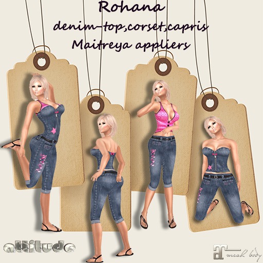 GIFT ROHANA-DENIM -MAITREYA APPLIERS