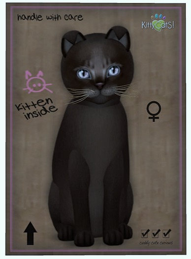 KittyCatS Box - Abyssinian - Dark Chocolate