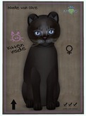 KittyCatS Box - Abyssinian - Dark Chocolate