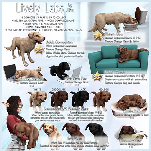 JIAN Lively Labs :: Chocolate Held Pup
