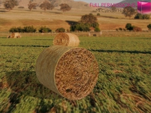 MI961062 MI Cylinder Hay Bale