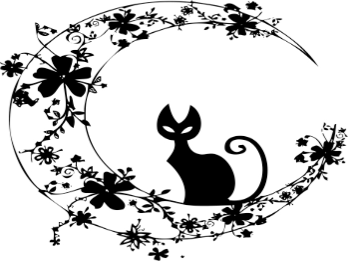 THD~Black cat wall decal