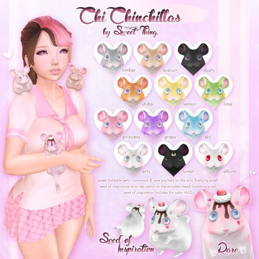 Sweet Thing. Strawberry Sundae Chi Chinchilla RARE