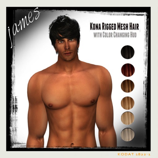Kona  Mesh Hair- James