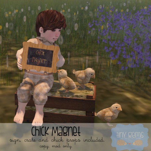 {tg.} - Chick Magnet. (boxed)