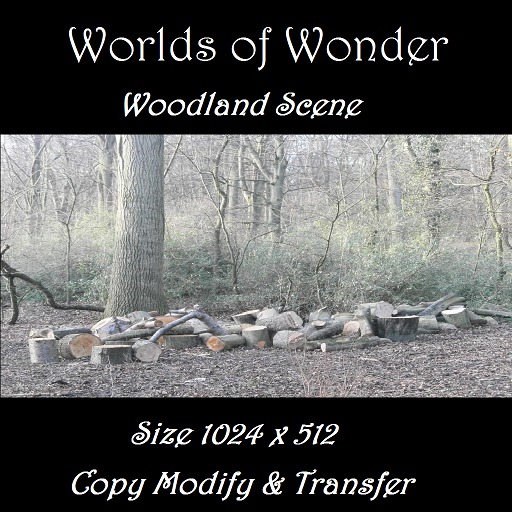 WoW Hinchingbrooke Park UK Texture  (Boxed)