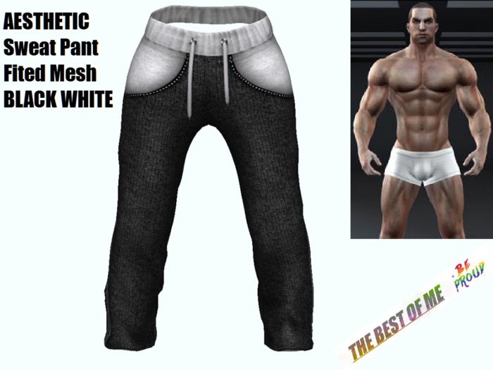 AESTHETIC Sweat Pants - Fitted Mesh BLACK WHITE