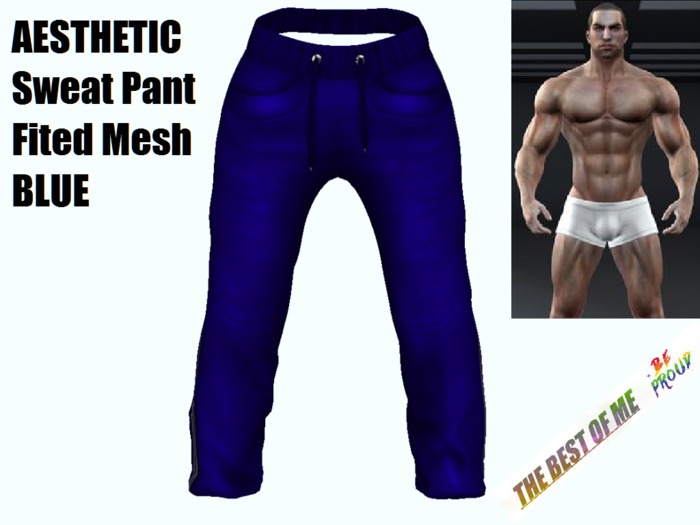 AESTHETIC Sweat Pants - Fitted Mesh BLUE