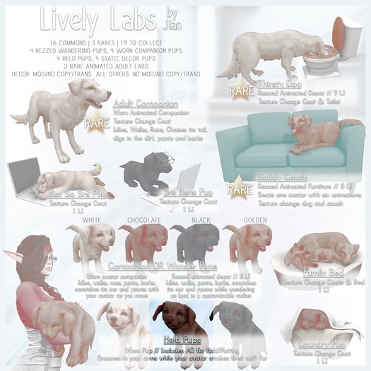 JIAN Lively Labs :: Chocolate Held Pup