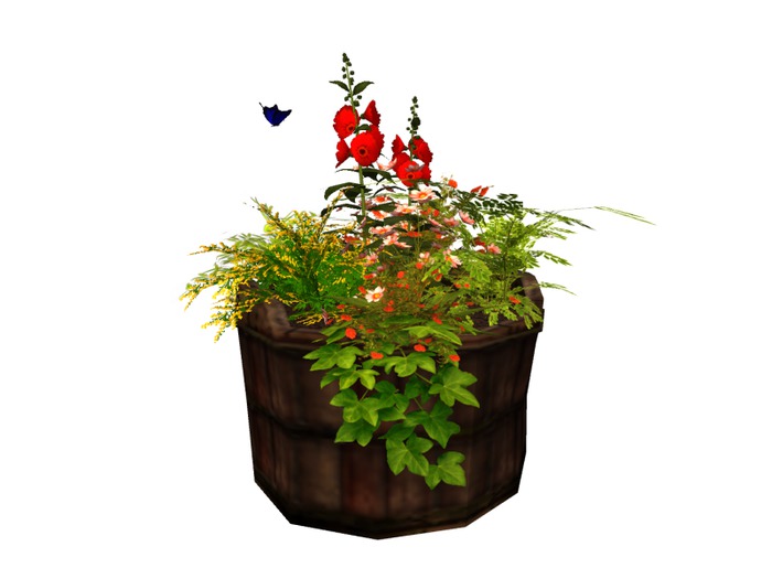 MSD - Butterfly Bucket Planter - Nerina C/M