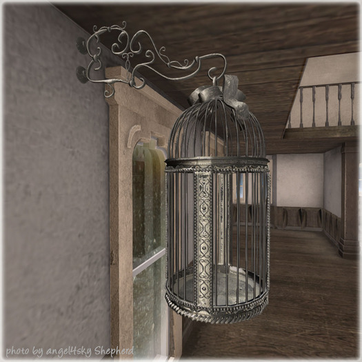 4.-DRD- MM2 Birdcage