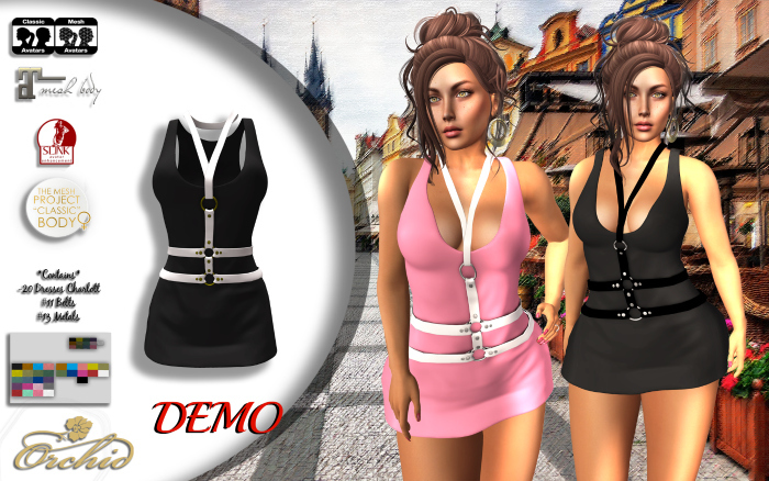 DEMO_Dress Charlott HUD