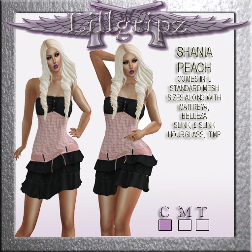 LILLGRIPZ SHANIA PEACH DRESS UNPACKER HUD