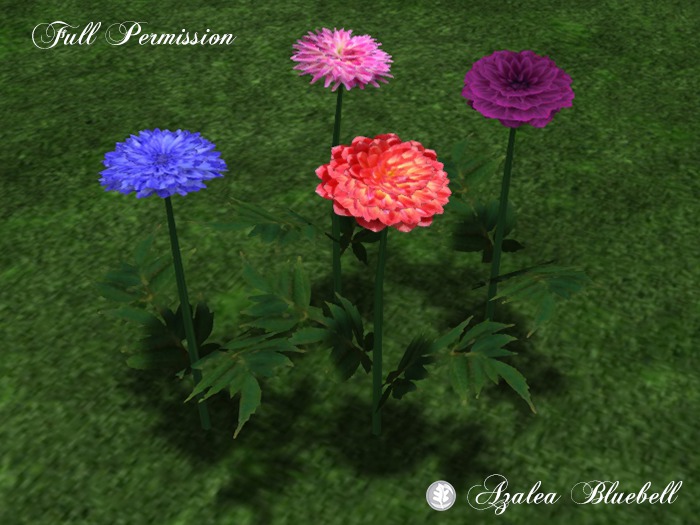 ~AB~ Single Dahlia ~ Full Perm Mesh ~ 0.5 LI
