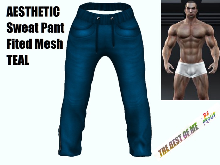 AESTHETIC Sweat Pants - Fitted Mesh TEAL