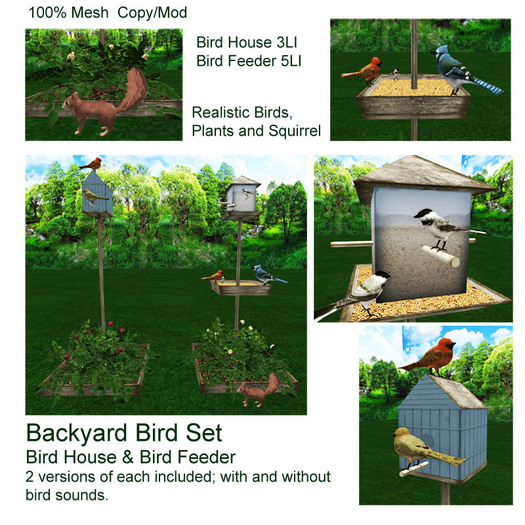 Backyard Bird Set