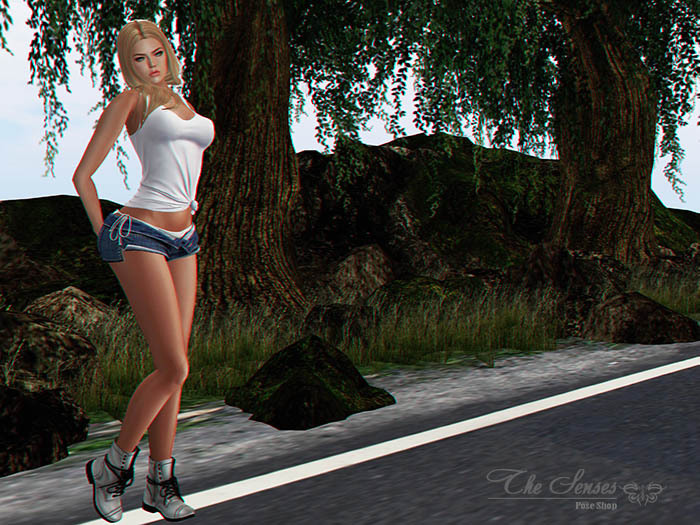 Box The Senses - Stand 002