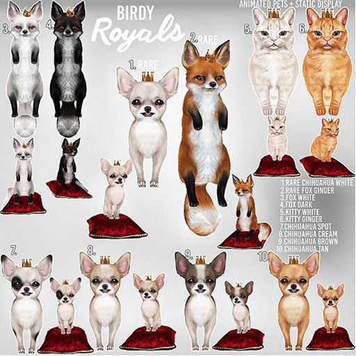 Birdy - Royal Pets - Kitty - Ginge [box]