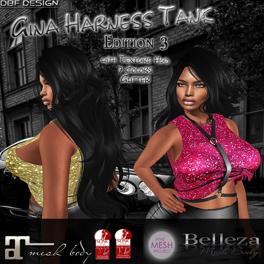 DBF-Design-GinaHarnessTankEdition3DEMO