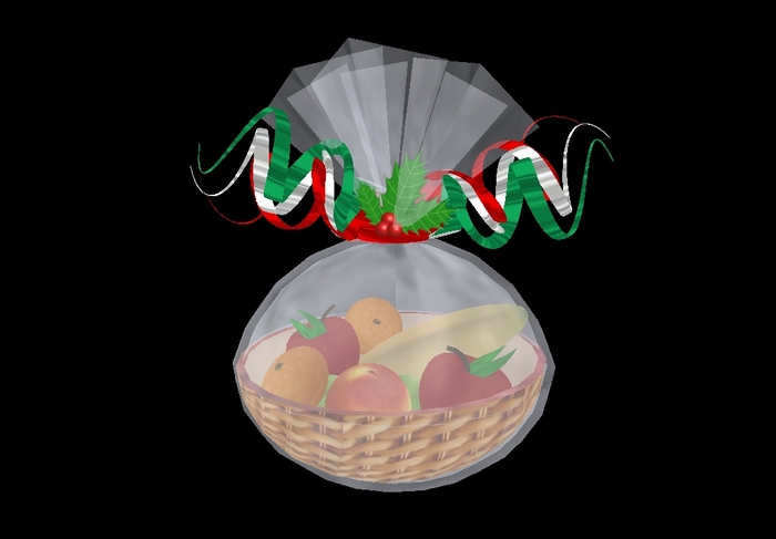 Divivity Christmas Fruit Basket