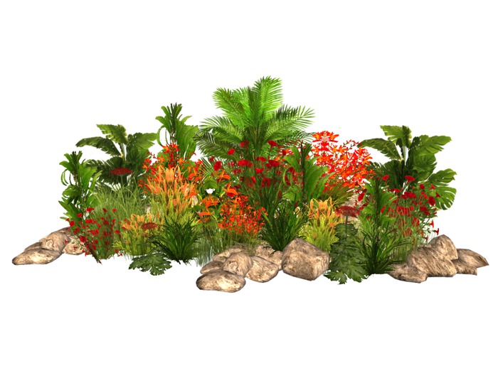 MSD - Tropical In Orange RE 11A (16 Prims) M/C