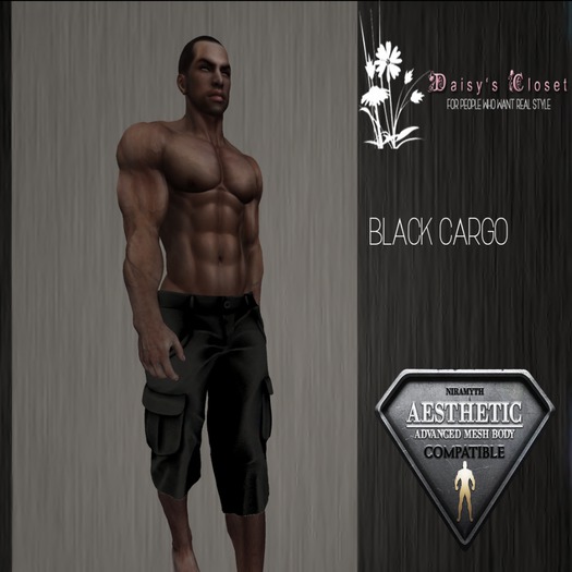 *DC - (Add Me) Black Cargo Shorts HUD Box*