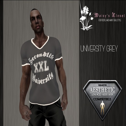 *DC - (Add Me) University Grey VNeck Shirt HUD Box*