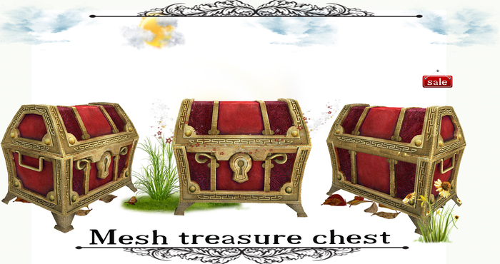 Chest