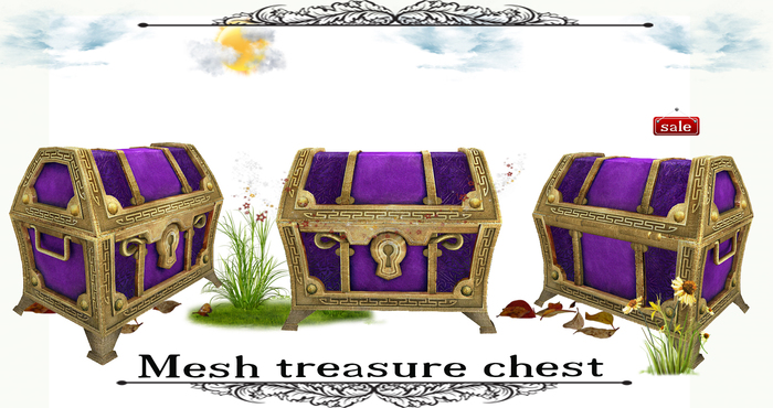 Chest