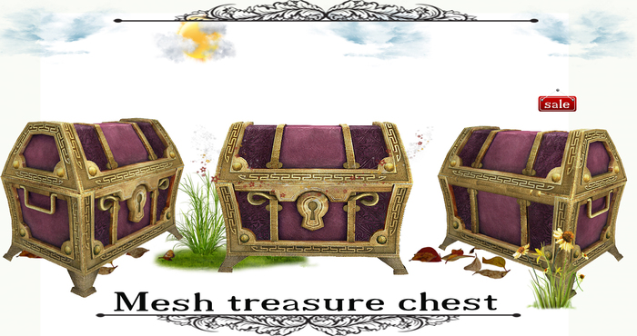 Chest