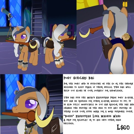 Pony Scholars Bag