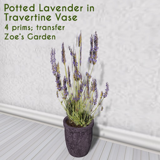 *ZG* Potted Lavender (large) in Travertine Vase