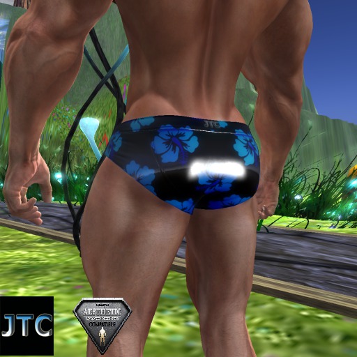 JTC Jock Brief Black BLUE HIBISCUS BOX AESTHETIC