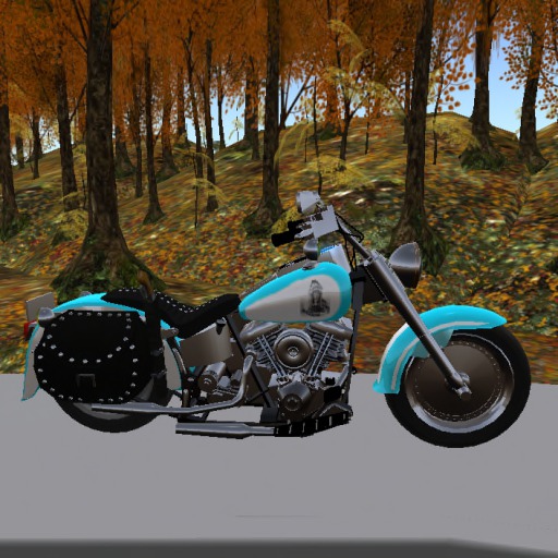 Sky Spirit Bike 2015