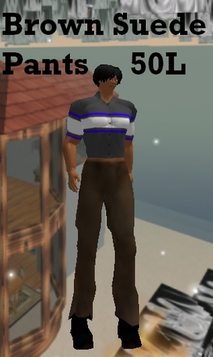 Brown Suede Pants