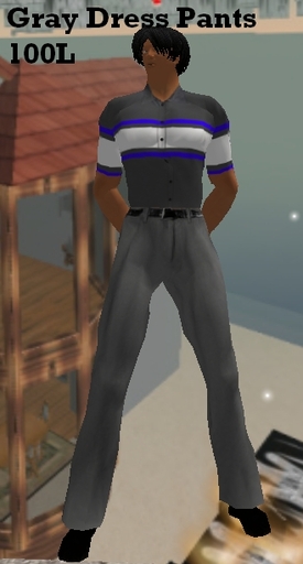 Dress Pants
