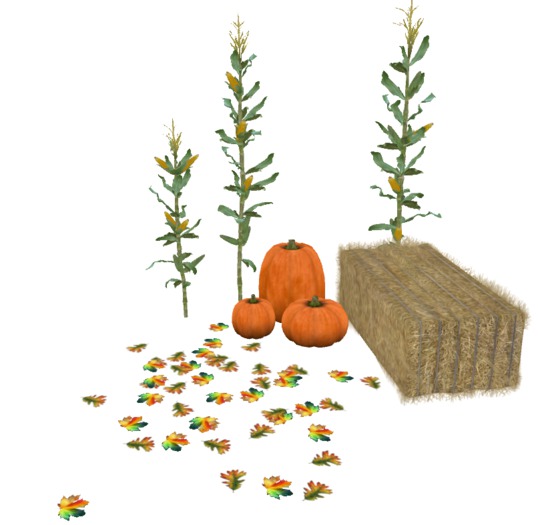 MM Straw, Corn Stalks, Pumpkins and Fall Leaves