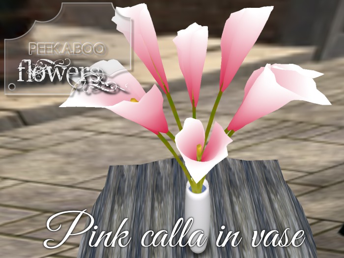 p-a-b pink calla in vase