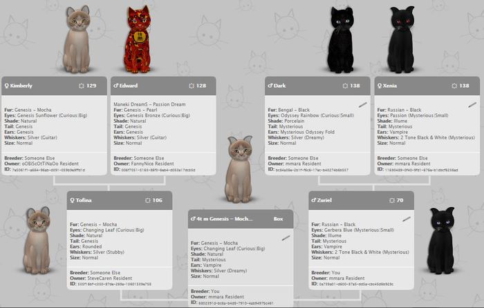 KittyCatS Box - 4t m Genesis - Mocha vampire