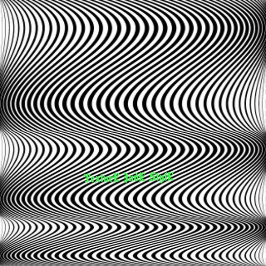 Texture Wall Embossel Image Black/White