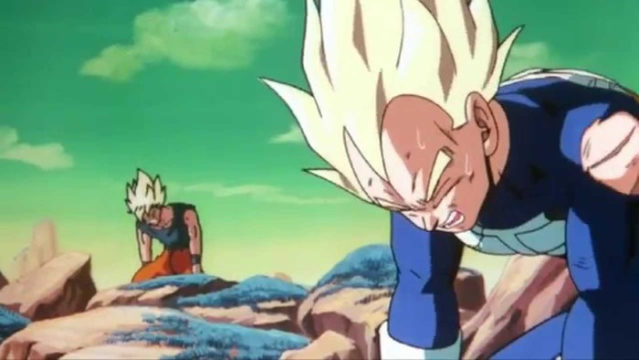 DBZ Abridged - Vegeta - Kicking Me In The Dick