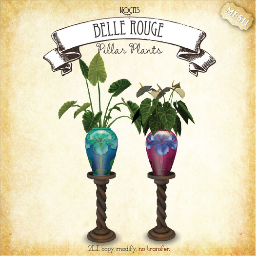 [noctis] Belle Rouge pedastool plants BOXED