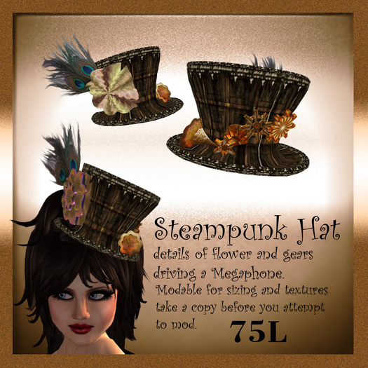 Steampunk_Hat style_2 (boxed)