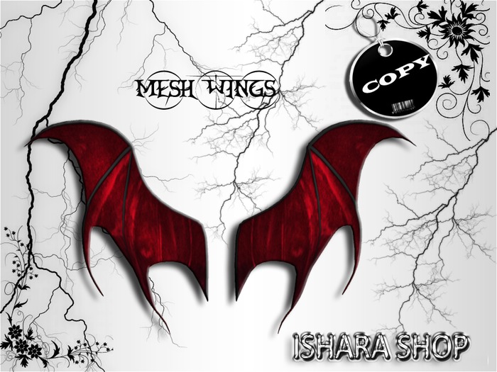 mesh wings 5