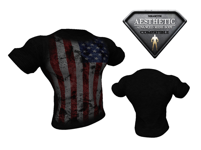 Aesthetic T-Shirt - USA Flag Black
