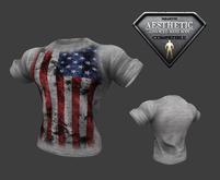 Aesthetic T-Shirt - USA Flag White